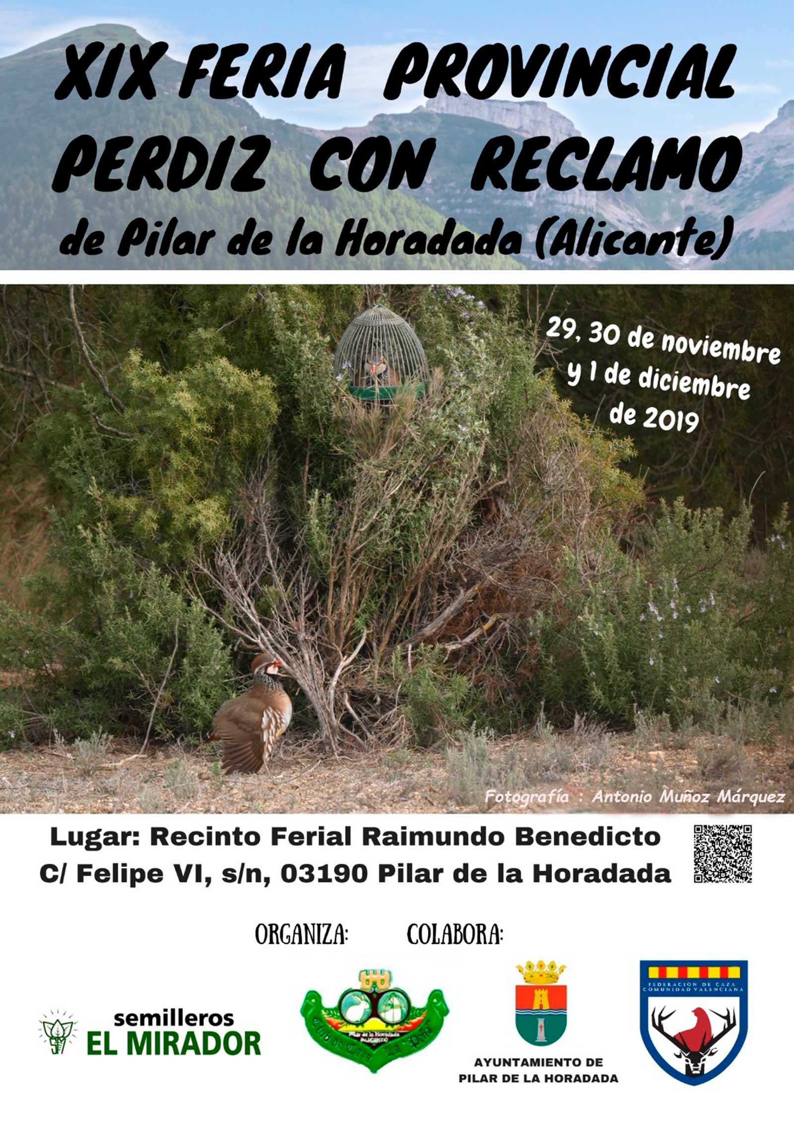 3Cartel Pilar