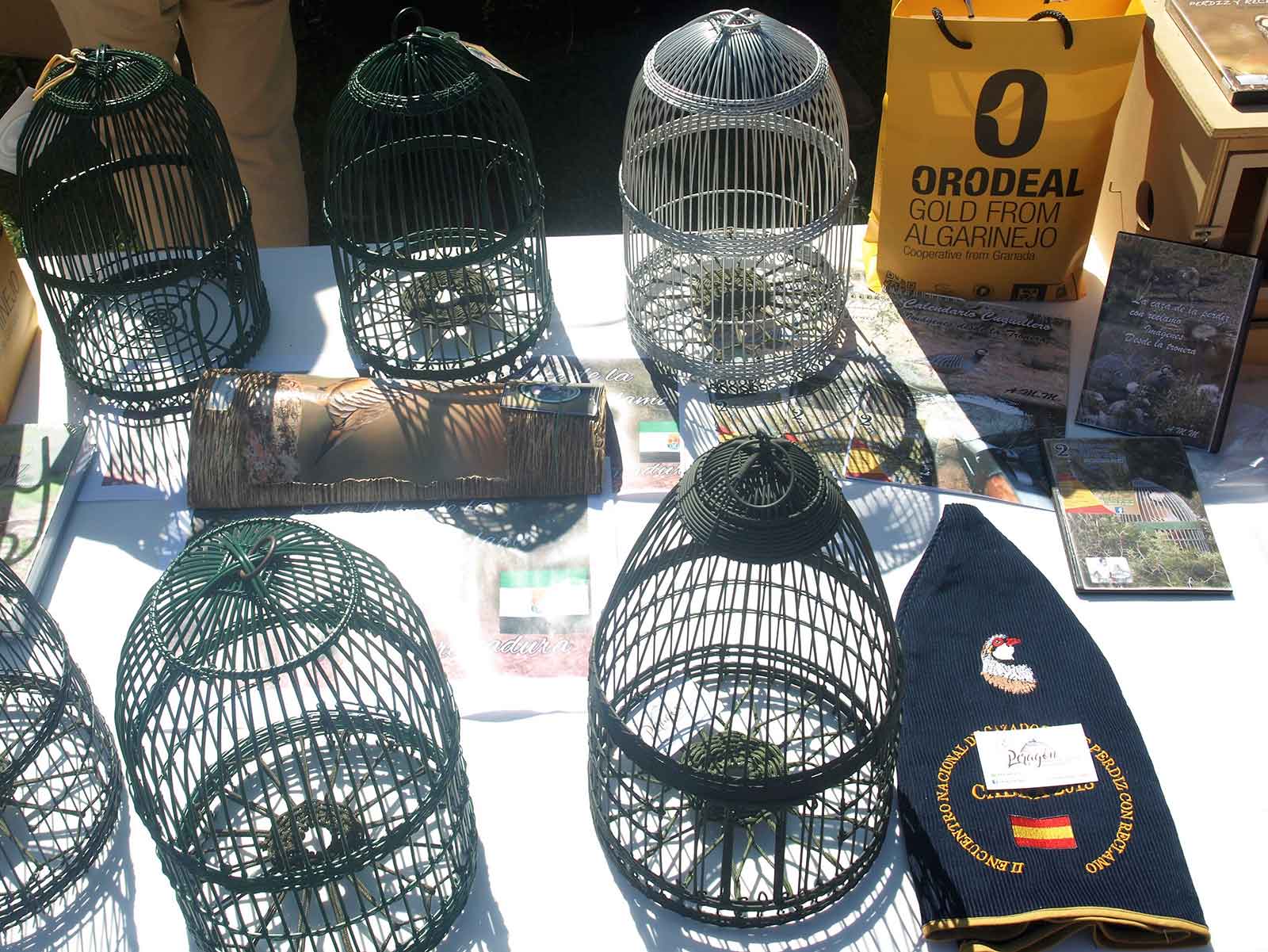 P1010910