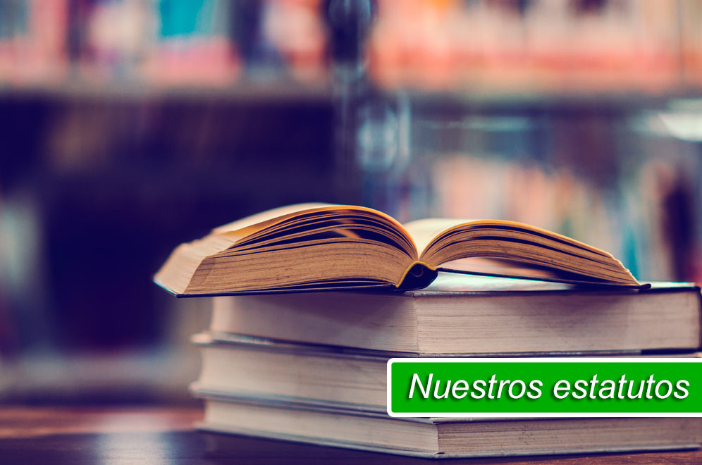 Nuestros Estatutos