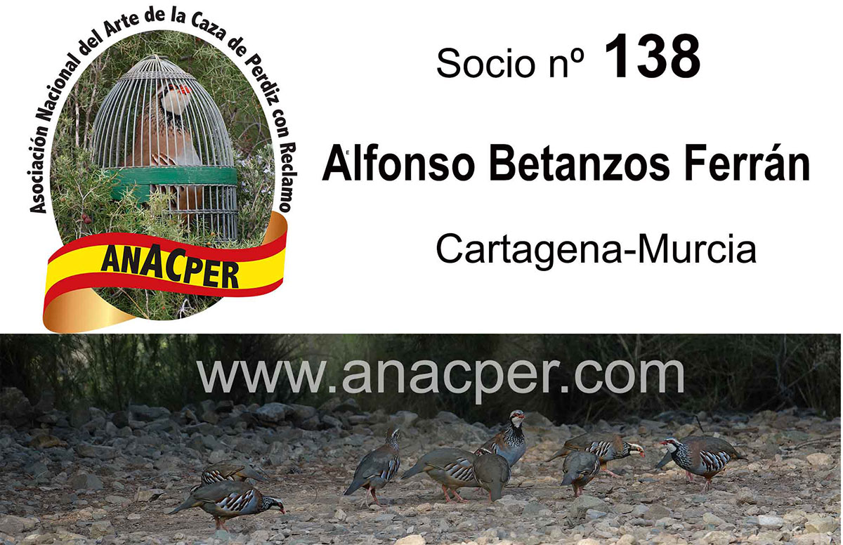 SUBCAMPEON socio 138 Alfonso Betanzos Ferrán con Cascales con 738 puntos