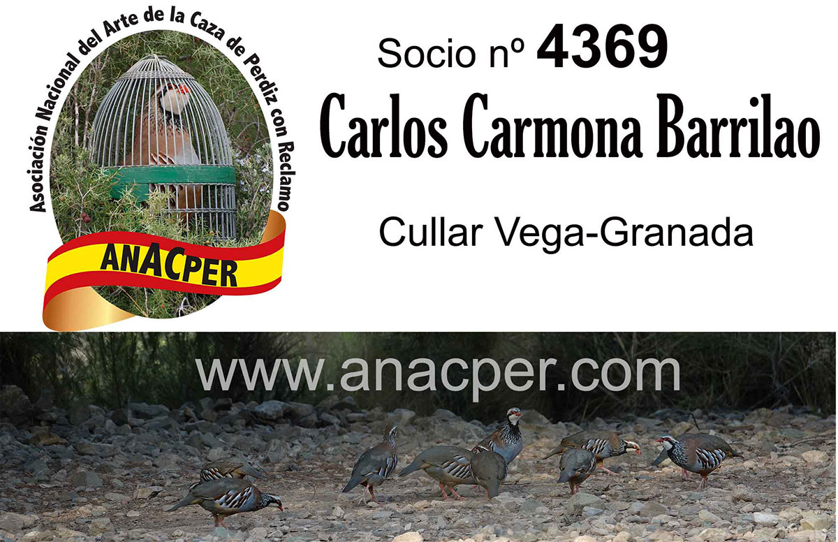 3º Clasificado socio 4369 Carlos Carmona Barrilao con Manolillo con 711 puntos.