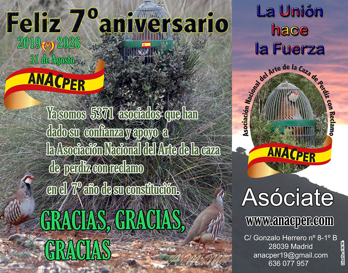 Feliz 7º Aniversario