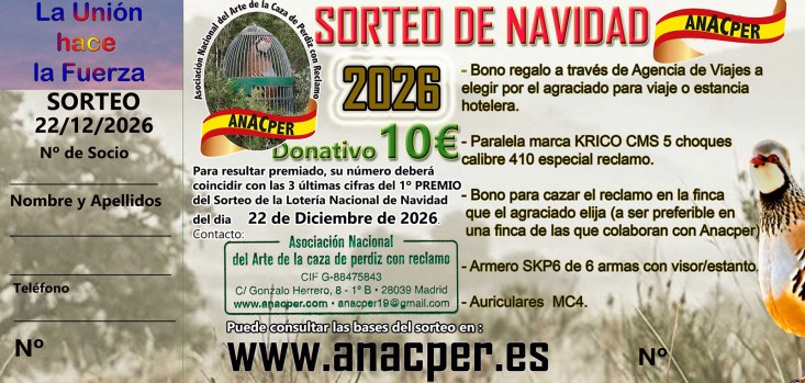 papeleta-2026-web