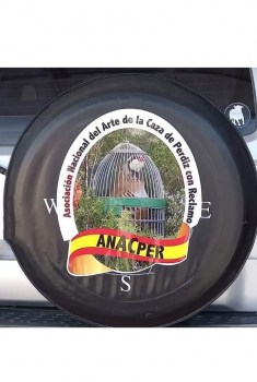 pegatina-coche