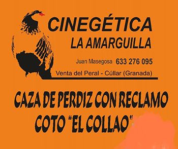 Cinegética La Amarguilla