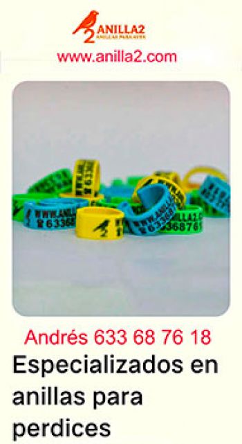 Anillas Para Aves
