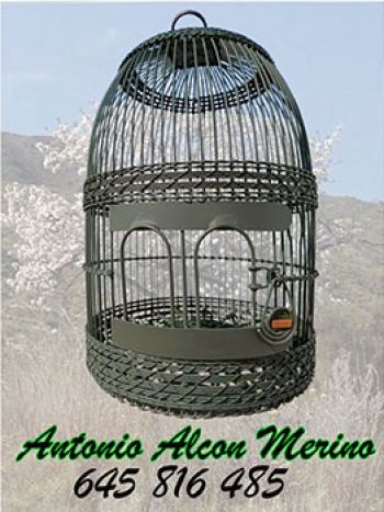 Antonio Alcon Merino